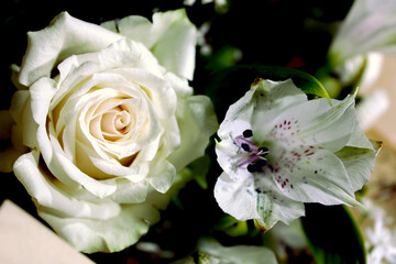 BouquetFBLC