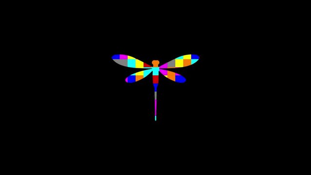 Fluttering colorful dragonfly animation on plain black background