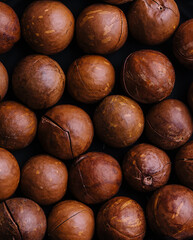 Macadamia nuts close up. Macadamia nuts background