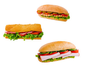 Grilled Chicken and Vegetable Sandwiches isolated