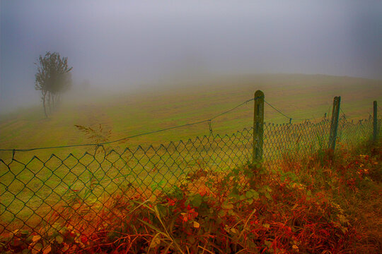 Thick fog on the Monferrato Hills, Valmadonna, Alessandria, Piedmont, Italy