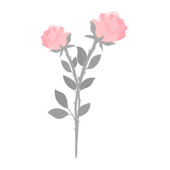 Obraz premium Valentine couple rose flower isolated on transparency background