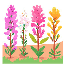 illustration of a background