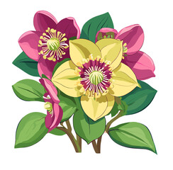illustration of a pink flower