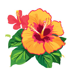 Fototapeta premium hibiscus flower isolated on white