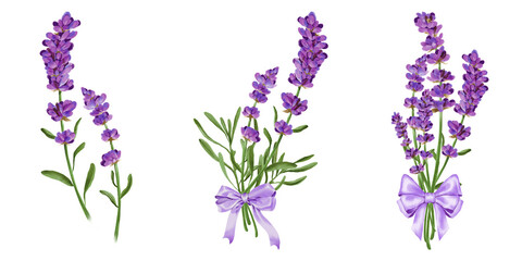 Naklejka premium lavender flowers isolated watercolor hand drawn on transparent background