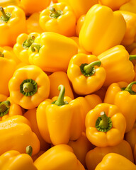 yellow pepper background