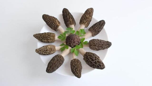 Many morels mushrooms are laid out in a circle on a round, white plate. Organic food is on the table. The idea of a low-calorie diet. High quality 4k footage