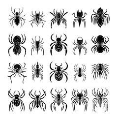 bug svg, beetle svg, svg bundle, insects svg, svg bugs, bug clipart, svg	bugs bundle, svg, line art svg	Bugs Silhouette, insects clipart, outline bugs, Insect, vector, pattern, design, flower, illustr