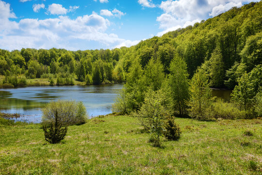 carpathian landscape with lake among forest. trees reflecting in the rippled water surface. sunny weather in spring
