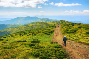 trail through the rolling landscape with hills and meadows of carpathian mountains. alpine scenery...