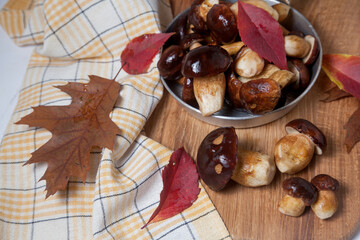 Several Imleria Badia or Boletus badius mushrooms commonly known as the bay bolete and vintage pan with mushrooms on wooden cutting board..
