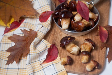 Several Imleria Badia or Boletus badius mushrooms commonly known as the bay bolete and vintage pan with mushrooms on wooden cutting board..