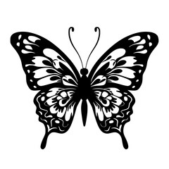 Butterfly svg, butterfly png, butterfly clipart, clipart, svg, vector, eps, png, jpg, butterfly, insect, nature, wing, fly, wings, animal, beauty, illustration, summer, design, macro, spring, moth,