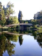 reflection in water