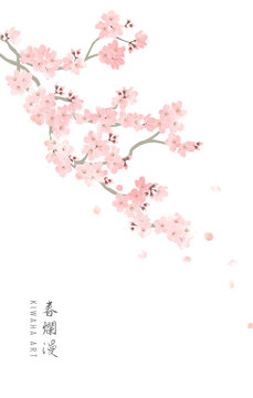 水彩画の桜の花と枝 Sakura branch drawinf in watercolor.