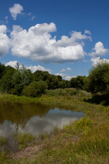 small forest pond, forest edge and lake on a hot summer day with cumulus clouds, summer forest landscape
