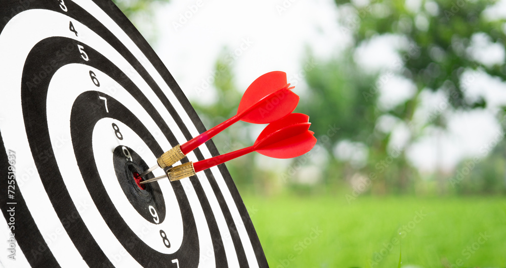 Poster two dart on target background