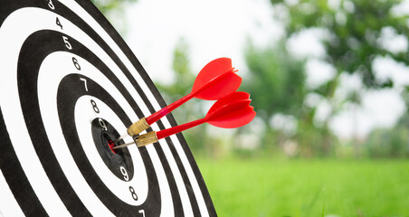 two dart on target background