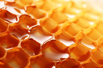 honey honeycomb close up