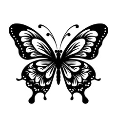 Butterfly svg, butterfly png, butterfly clipart, clipart, svg, vector, eps, png, jpg, butterfly, insect, nature, wing, fly, wings, animal, beauty, illustration, summer, design, macro, spring, moth, an
