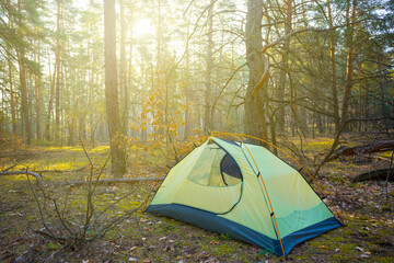 small touristic tent stay on forest glade in light of morning sun, outdoor travel background © Yuriy Kulik