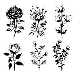 Rose Silhouette, Lily Silhouette, Sunflower Silhouette, Tulip Silhouette, Orchid Silhouette, Daisy Silhouette, Peony Silhouette, Daffodil Silhouette, Marigold Silhouette, Hydrangea Silhouette, Snapdra