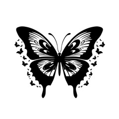 Butterfly svg, butterfly png, butterfly clipart, clipart, svg, vector, eps, png, jpg, butterfly, insect, nature, wing, fly, wings, animal, beauty, illustration, summer, design, macro, spring, moth