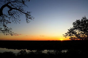 Afrikanischer Busch - Krügerpark - Pioneer Dam / African Bush - Kruger Park - Pioneer Dam /