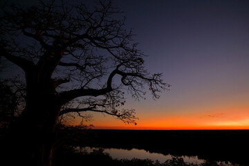 Afrikanischer Busch - Krügerpark - Pioneer Dam / African Bush - Kruger Park - Pioneer Dam /