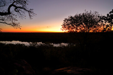 Afrikanischer Busch - Krügerpark - Pioneer Dam / African Bush - Kruger Park - Pioneer Dam /