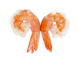 cooked shrimp isolated