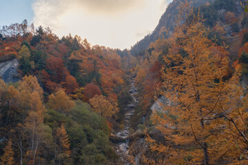 秋の峡谷