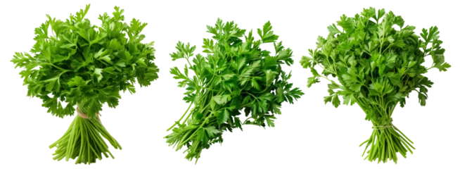 Fotobehang Parsley isolated on transparent background cutout © PngXpress