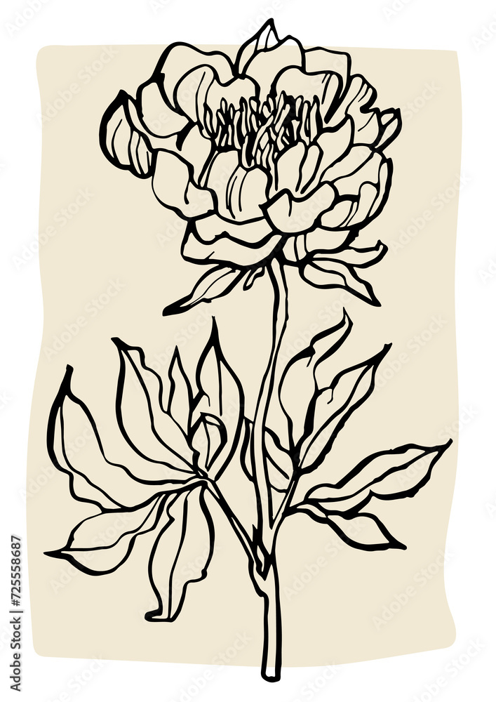 Wall mural Vector illustration - ink floral posters with peony flowers . Art for for prints, wall art, banner, background