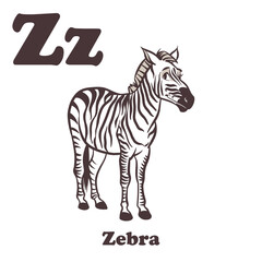 Zebra Cartoon Character For Kids