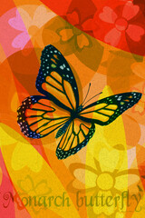 Farfalla Monarca - illustrazione astratta