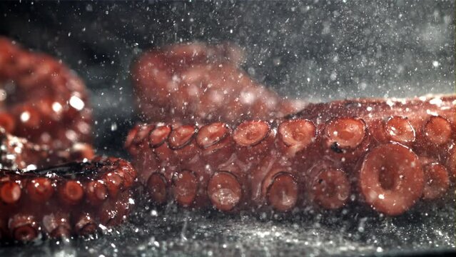 Fried octopus tentacles on a frying pan with a splash of oil. Filmed on a high-speed camera at 1000 fps. High quality FullHD footage