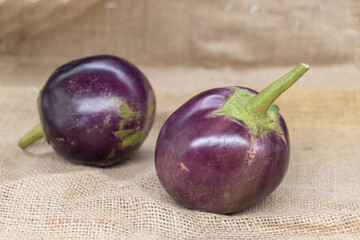 Eggplant or aubergine or brinjal isolated on background