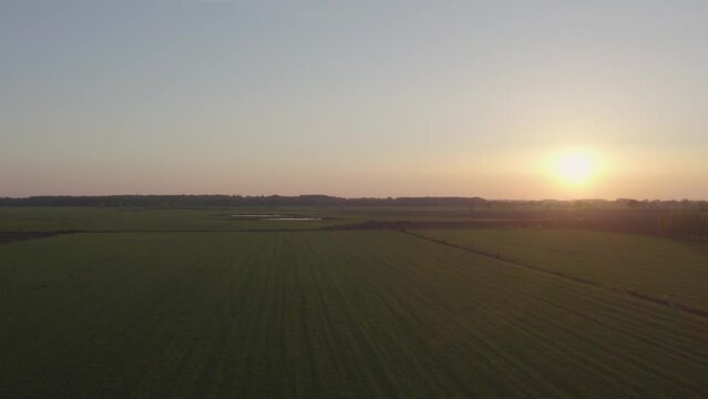 The tranquil close of day is beautifully captured in this stock footage, where the last golden rays of the sun embrace the vast countryside fields. The drone's flight over this serene landscape at