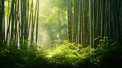 Gordijnen Panoramic view of the majestic green bamboo forest. Mighty trees. Atmospheric dreamlike landscape. Pure nature, ecology, environmental conservation, ecotourism. Panoramic view © Michelle