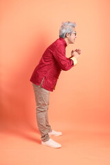 Fototapeta premium Happy Chinese new year