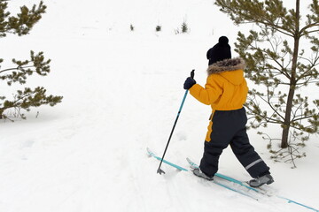 A boy in a warm overalls skiing in a pine forest