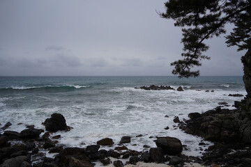 The distant horizon and the wavy winter sea