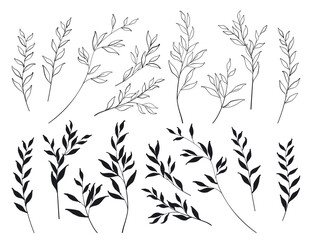 Fototapeta premium Curved branches with leaves. White leaves with a black outline and black silhouettes. Vector set of twigs. Bending twigs on a white background. Vector illustration.
