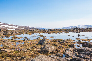 Lake on Putorana Plateau. Russia, Taimyr
