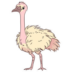 ostrich, illustration, cute, animal, cartoon, vector, wild, nature, isolated, zoo, character, bird, wildlife, background, safari, design, drawing, art, graphic, icon, africa, feather, white, funny,
