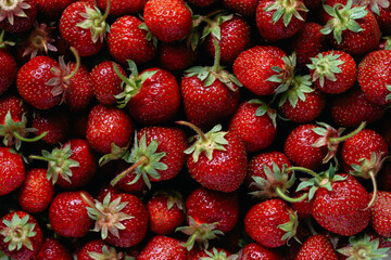 strawberry background, no people, top view, close-up