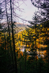 swiss national park, Parc Naziunal Svizzer, in autumn - engading, switzerland - rolling alps with orange green and red colours