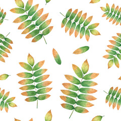 Watercolor seamless pattern with a sprig of rowan. Autumn botanical illustration for printing the pattern on fabrics, wrapping paper and other design elements.